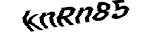 Proforms